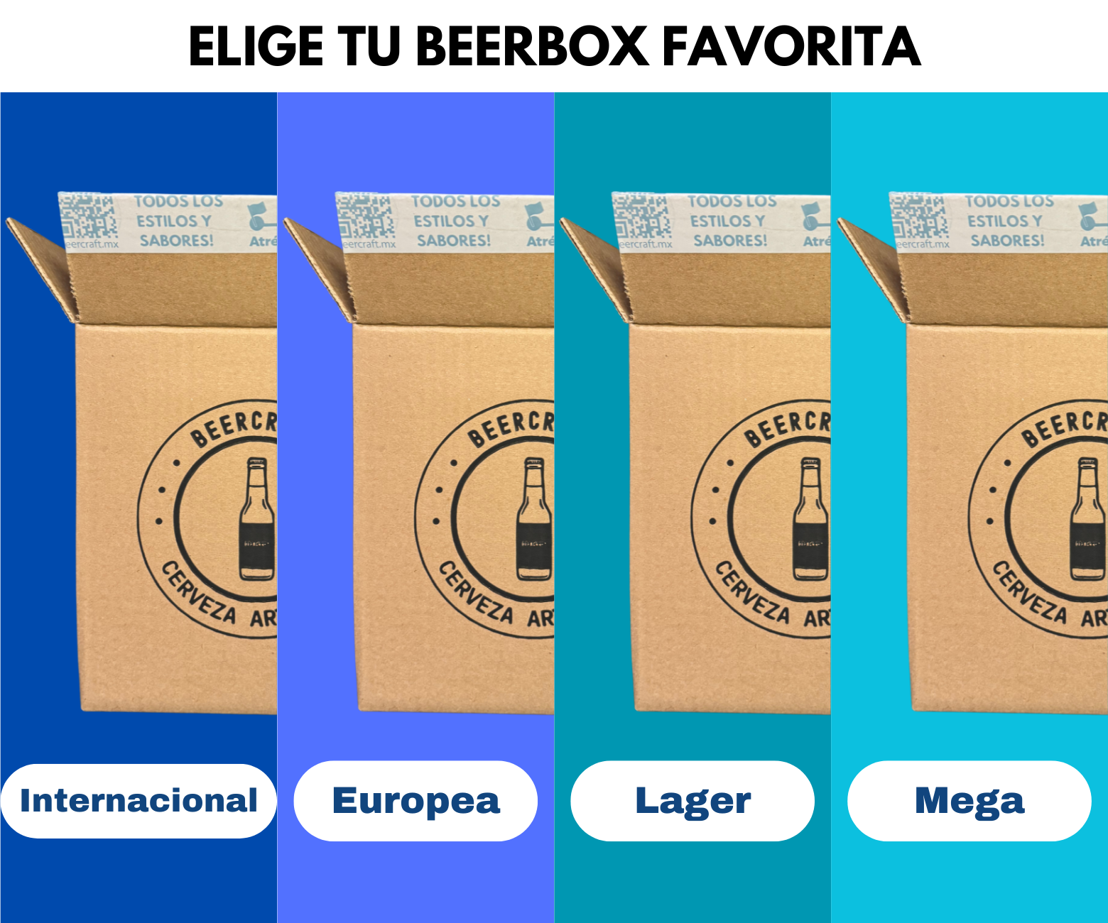 Beerbox Mistery Box de Cerveza ©