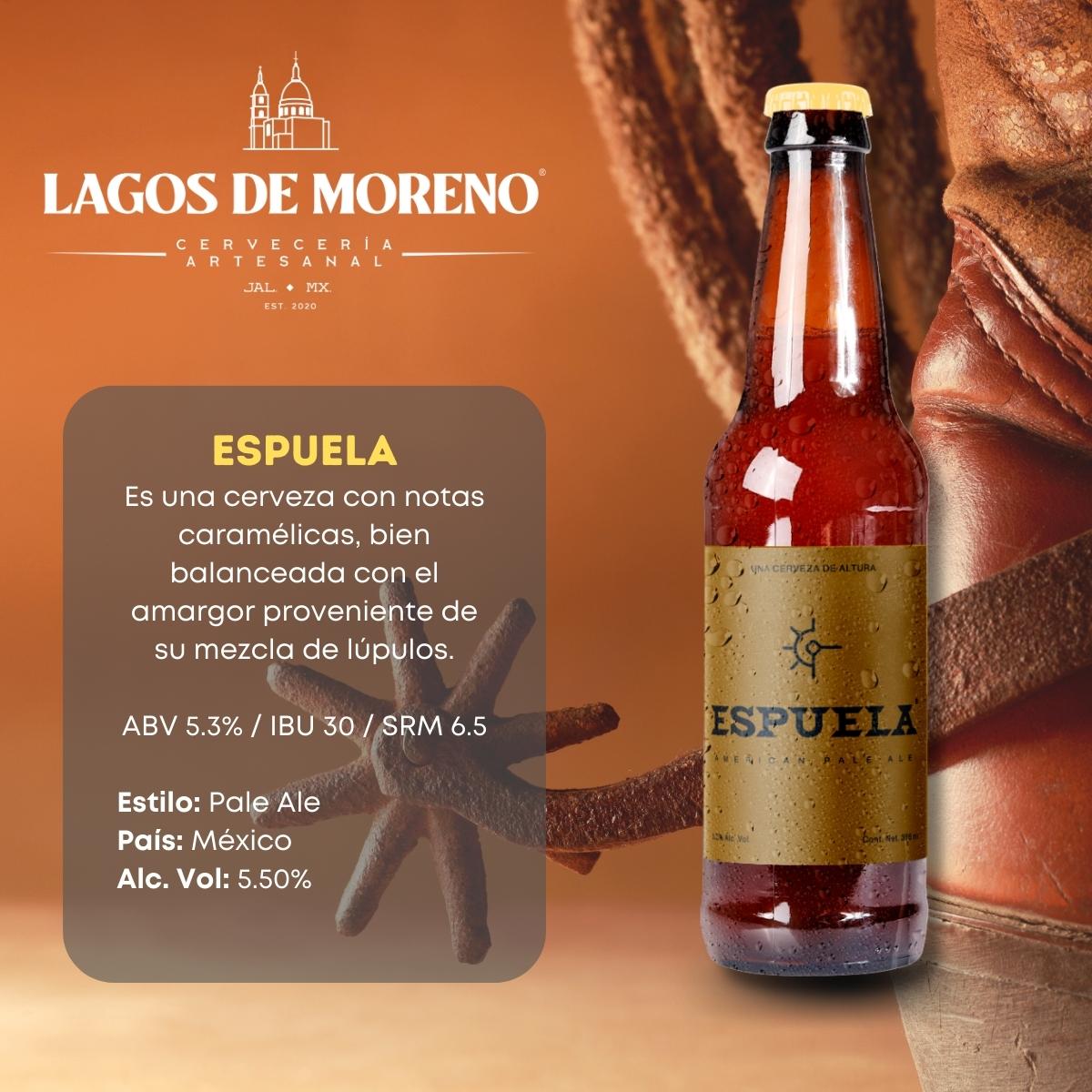 Cervecería de Lagos Six Variado